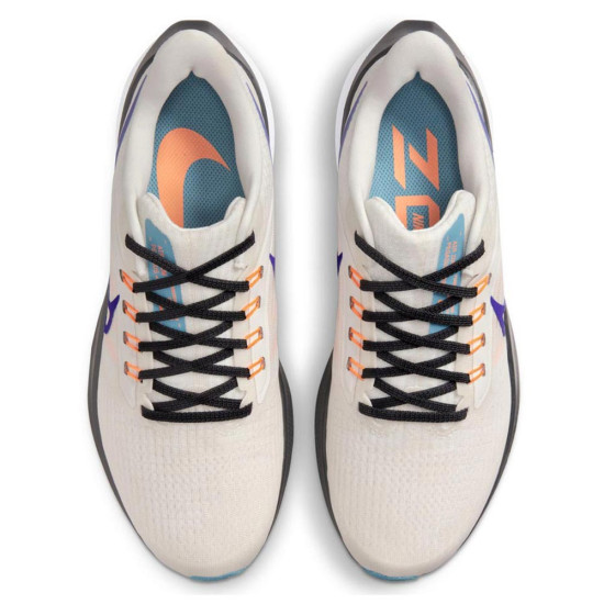 Nike Air Zoom Pegasus 39 Nike Air Zoom Pegasus 39